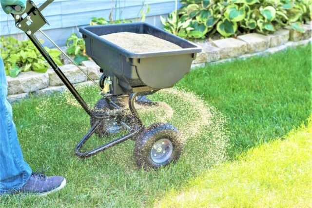Fall is the time to Weed, Feed & Seed. That's our motto! - Lawn Depot