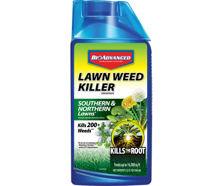 Bioadvanced Weed Kill Lawn Southern & Northern Concentrate 32oz
