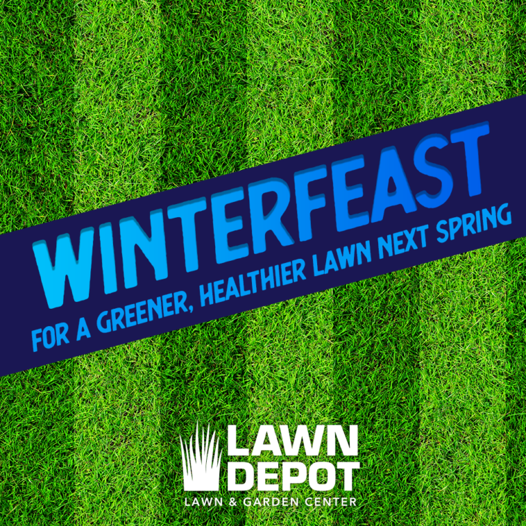 Preparing Your Lawn For Winter Lawn Depot