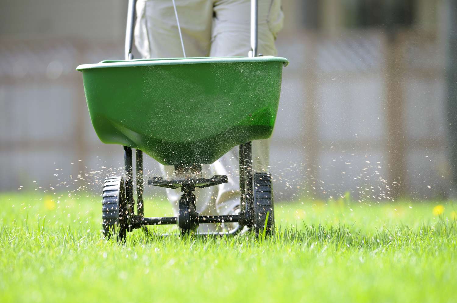 It's Time to Weed, Feed & Seed Lawns! - Lawn Depot