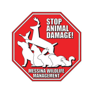 Messinas Animal Stopper"