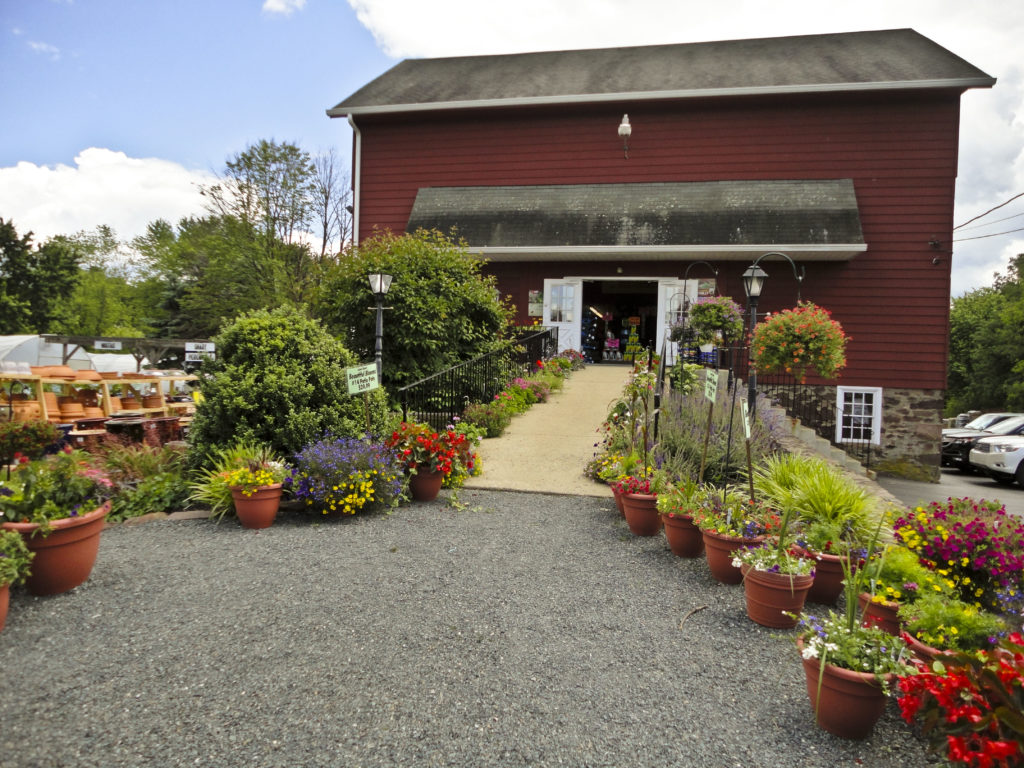 Store-front June 2012
