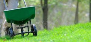image of lawn seeder spreading grass seeds on a lush green lawn