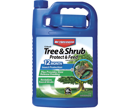 Bioadvanced 12 Month Tree & Shrub Protect & Feed Concentrate, 1 Gal. (128 Oz.)