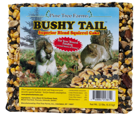 Wild Bird Bushy Tail Squirrel Food Cake