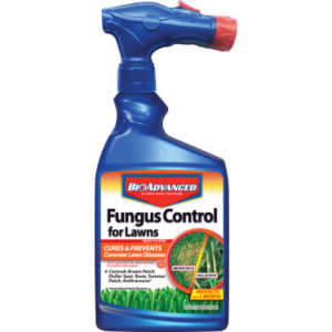 Fungus Control For Lawns - Ready-To-Spray (32 Oz.)