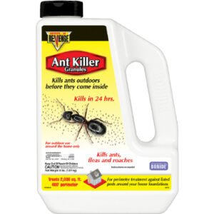 Ant Killer Granules, 4lbs