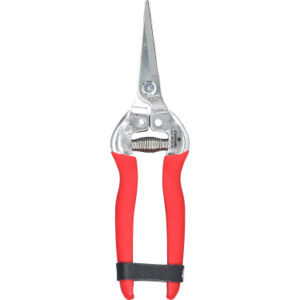 Snip Strght Blades Stnless