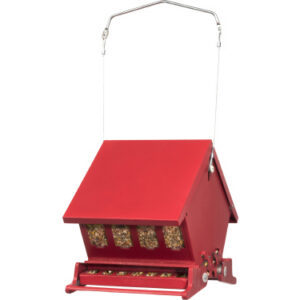 Mini Absolute Ii Bird Feeder (4 Lb.)
