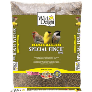 Special Finch Bird Food