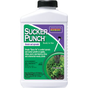 Sucker Punch® Ready-To-Use, 8 Oz