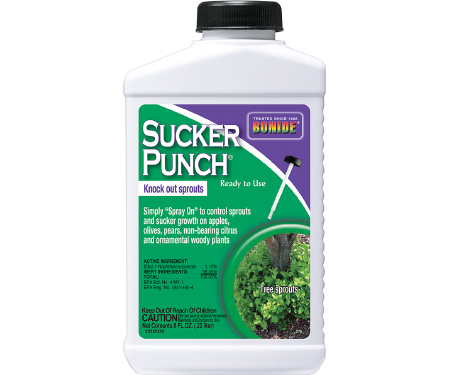Sucker Punch® Ready-To-Use, 8 Oz