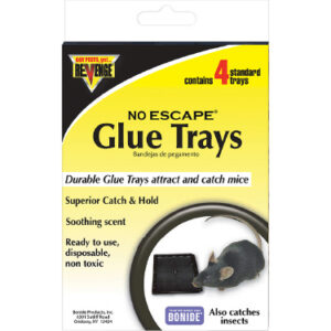 Mouse Glue Trays, 4-Pk