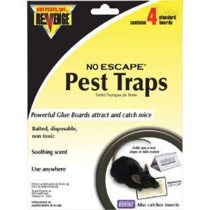 Mouse Glue Traps, 4-Pk