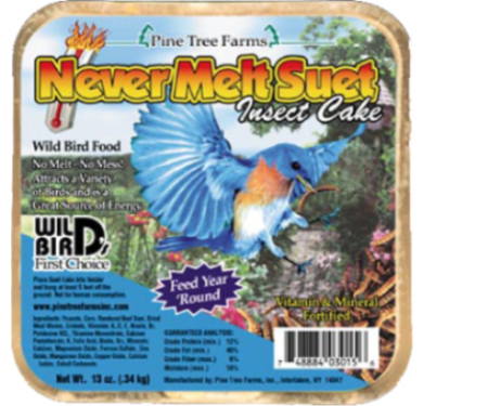 Never Melt Insect Suet - 12 Oz.