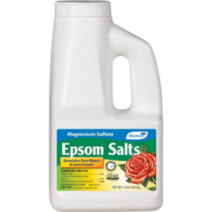 Epsom Salts
