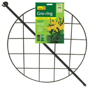Grow Through Hoops With 3 Legs - Green (24.5" H X 16" L X 16" W)