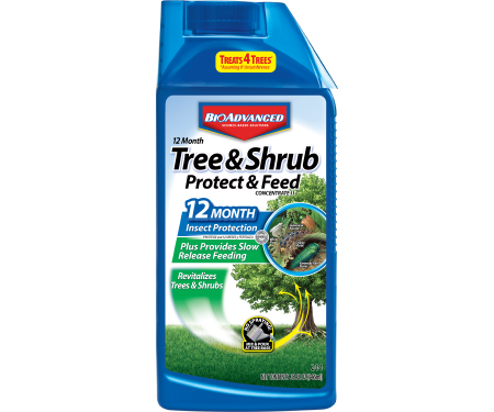Bioadvanced 12 Month Tree & Shrub Protect & Feed Concentrate (32 Oz.)