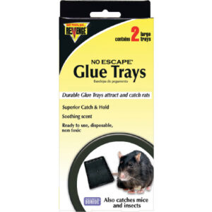 Rat Glue Trays, 2-Pk