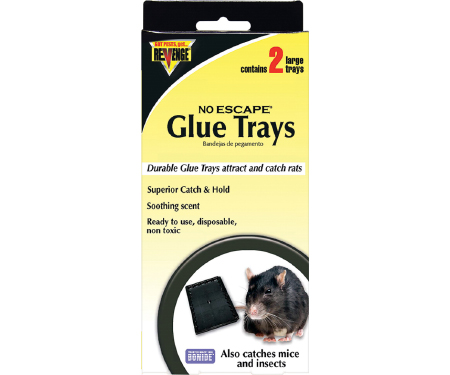 Rat Glue Trays, 2-Pk