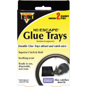 Mouse Glue Trays, 2-Pk