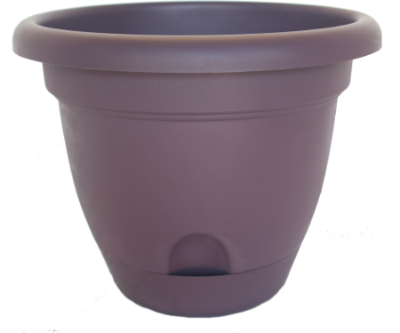 Lucca Self Watering Planter - Exotic Wine
