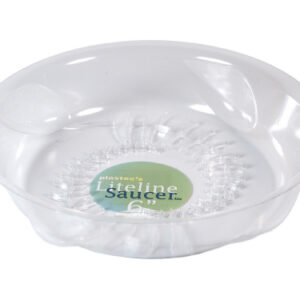 6" Liteline Saucer Fern