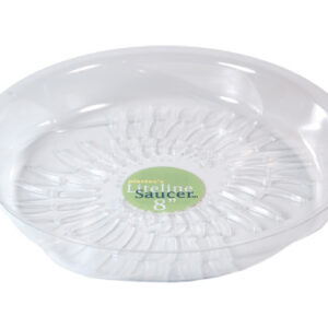 8" Liteline Saucer Fern