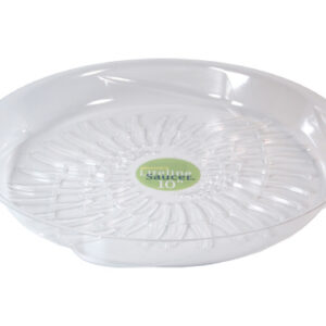 10" Liteline Saucer Fern