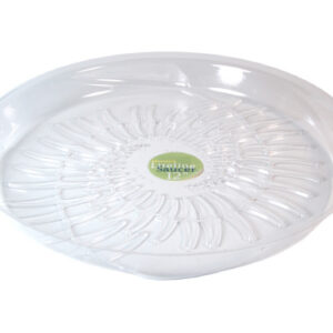 12" Liteline Saucer Fern