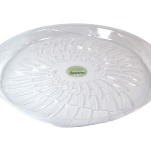 14" Liteline Saucer Fern