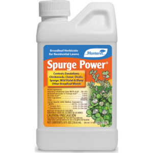 Spurge Power