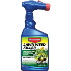 Bioadvanced Weed Kill Lawn Southern & Northern Concentrate 32oz