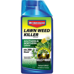 Bioadvanced Weed Kill Lawn Southern & Northern Concentrate 32oz
