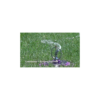 Dramm Spinning Sprinkler