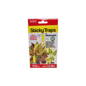 Sticky Traps