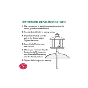 Transparent Squirrel Baffler