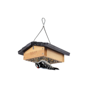 Suet Feeder