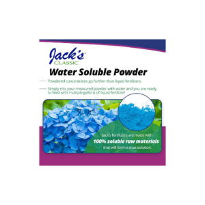 Hydrangea Blue