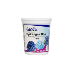 Hydrangea Blue
