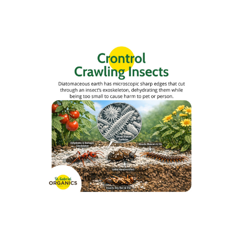 St. Gabriel Organics Insect Dust Diatomaceous Earth Insect Control