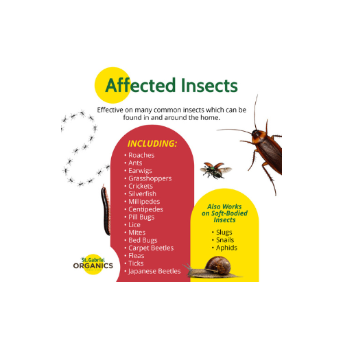 St. Gabriel Organics Insect Dust Diatomaceous Earth Insect Control