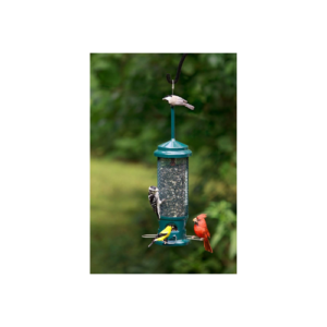 Squirrel Buster Legacy