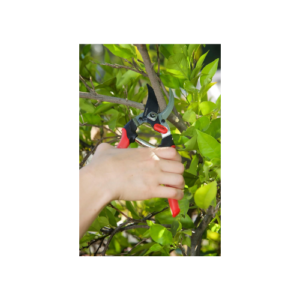 Corona Bypass Gel Pruner