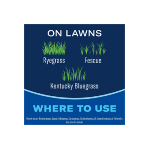 Lawn Weed & Crabgrass Killer RTU