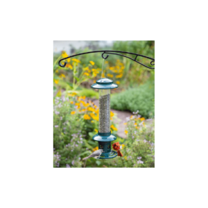 Brome Squirrel Buster Evolution Feeder