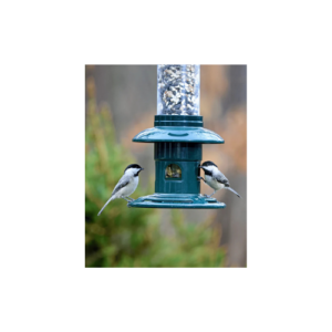 Brome Squirrel Buster Evolution Feeder
